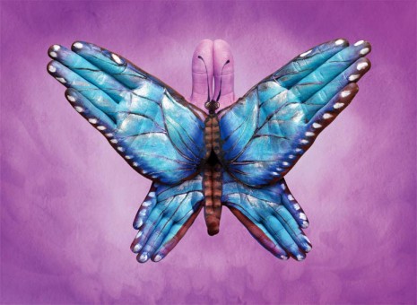 Blu-Butterfly-465x340