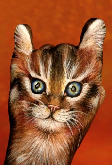 Cat-on-red1-231x340